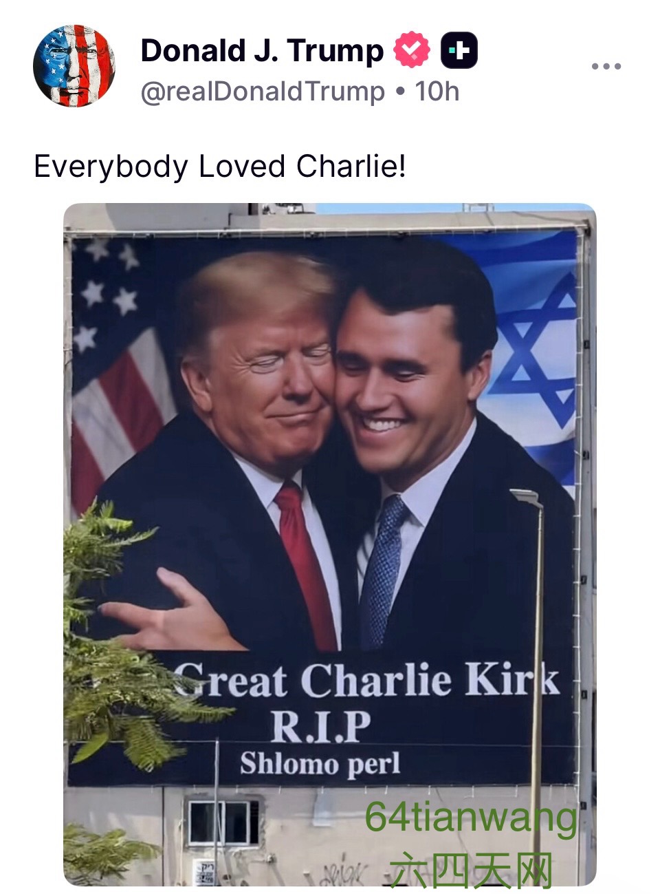 🌈♿️ 神经异能者和残疾人的互助和以人为本的学习- Stimpunks Foundation, image size:960x1299